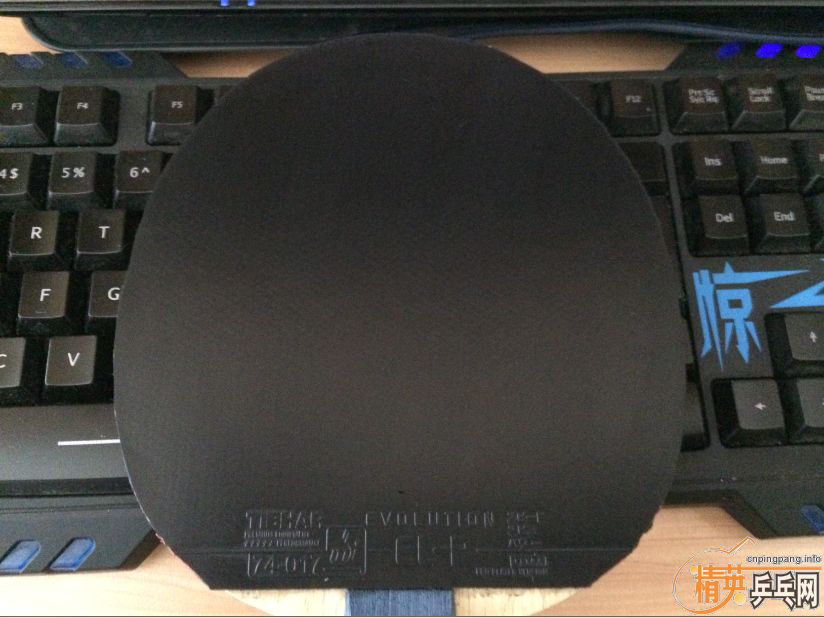 170��˳�������ͦ��elp