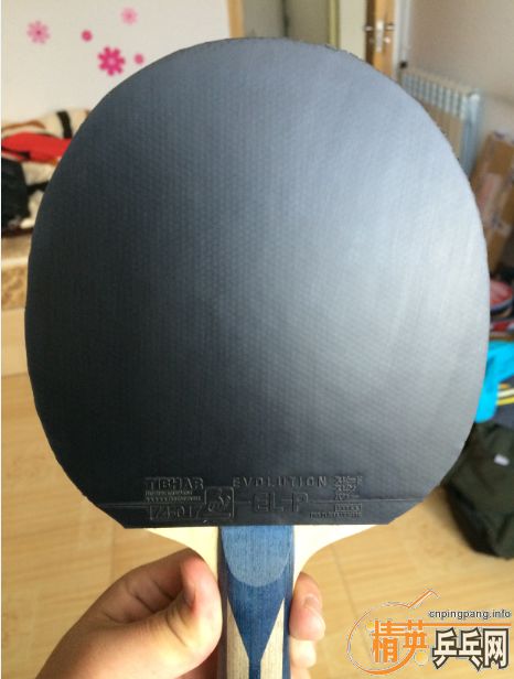 170��˳�������ͦ��elp