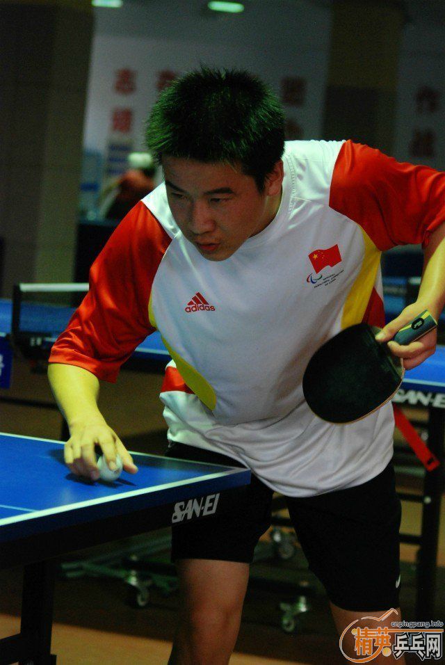 ����zlc N656�ټ����齺Ƥ