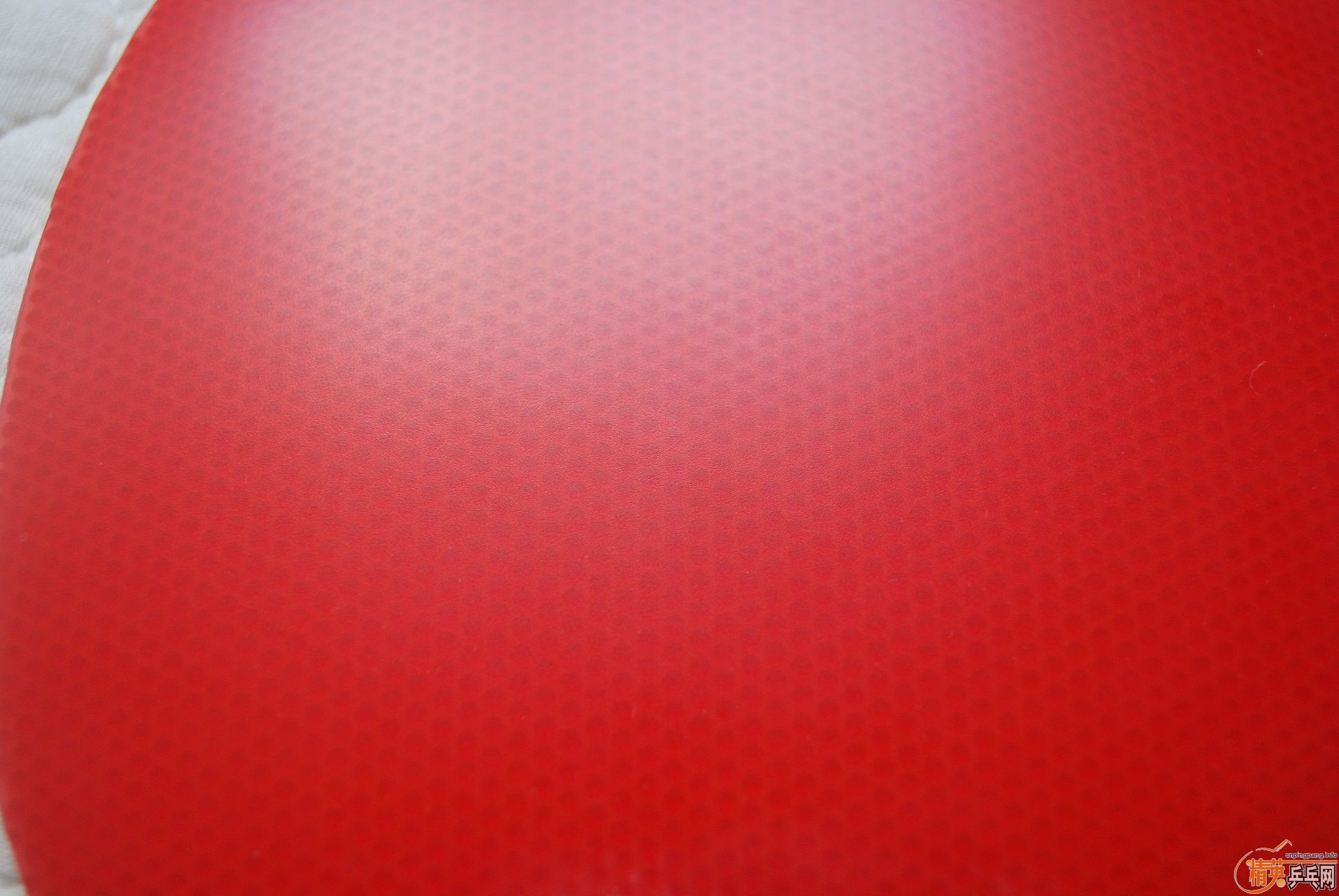 ����zlc N656�ټ����齺Ƥ