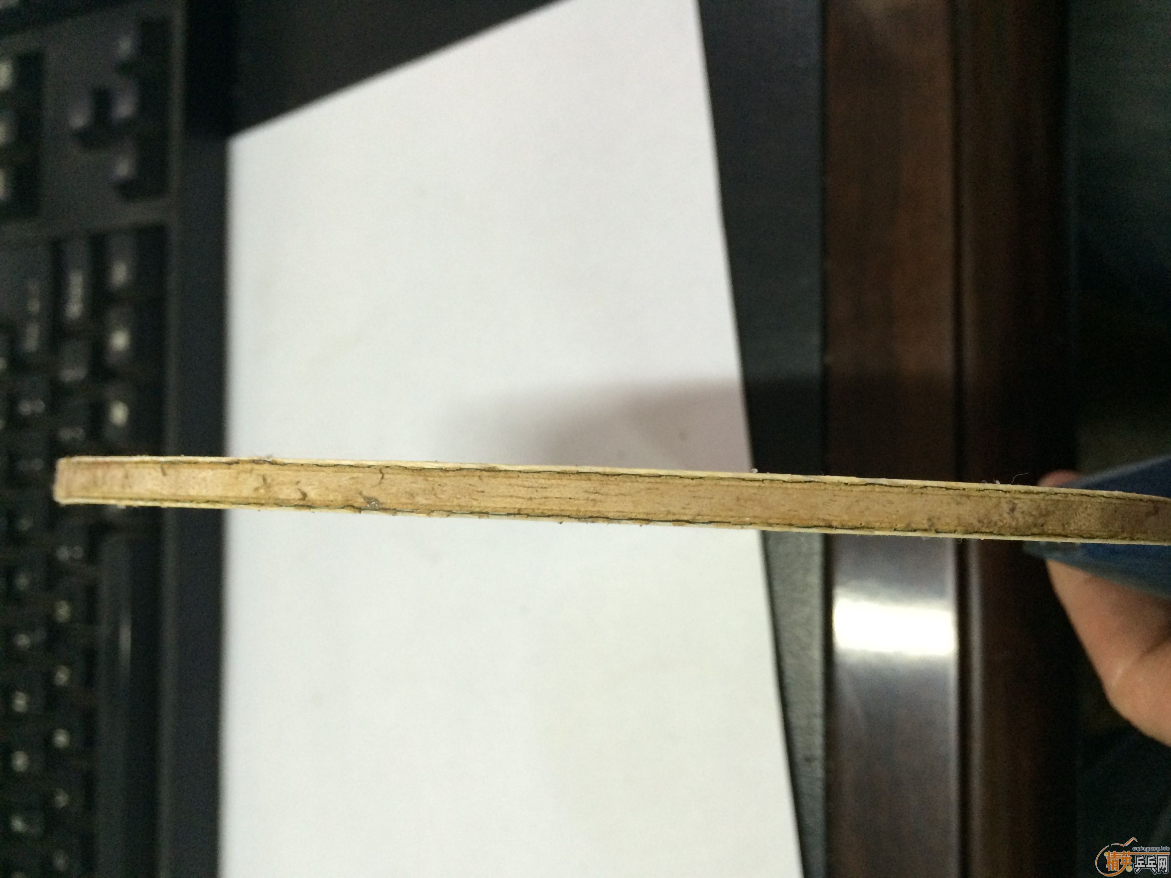 [ԭ��]���� �հ沨��ZLC FL~~~~~~~~~~