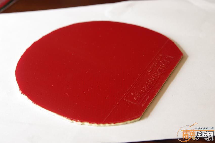 ��T05��˹�ٿ�������