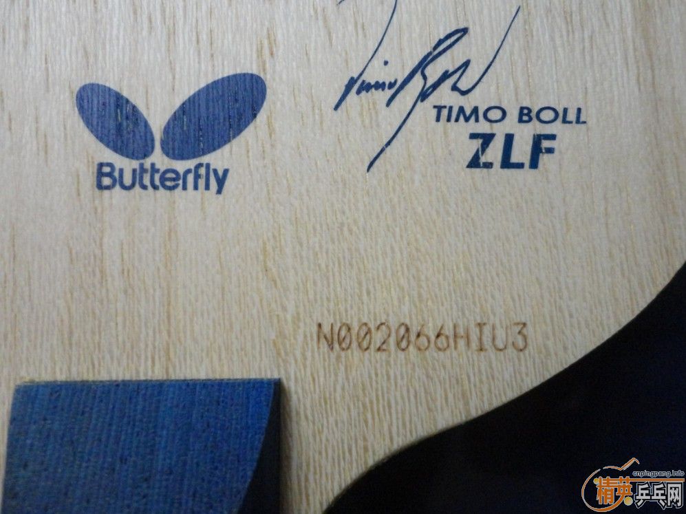 ~~~~~~~~~~���ȶ��ͻ�Ȧ��������ZLF~~~~~~~~~~~~~~