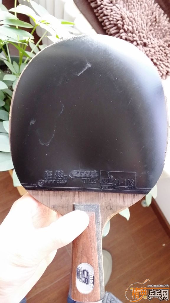 ��������ľ5����OCCR��ʽϸ��----��100��neo���������ᣬ��el��������Ż�