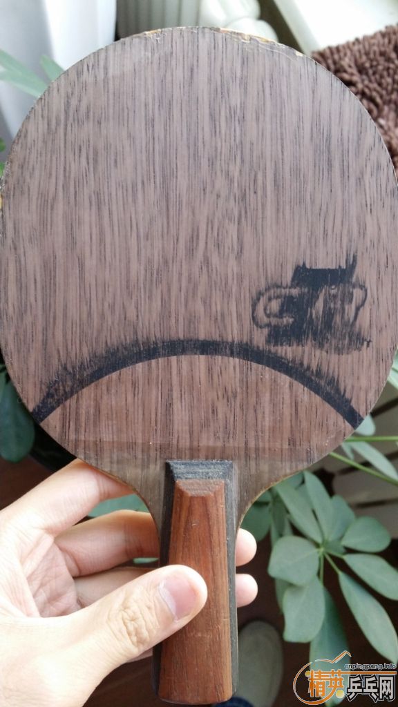 ��������ľ5����OCCR��ʽϸ��----��100��neo���������ᣬ��el��������Ż�