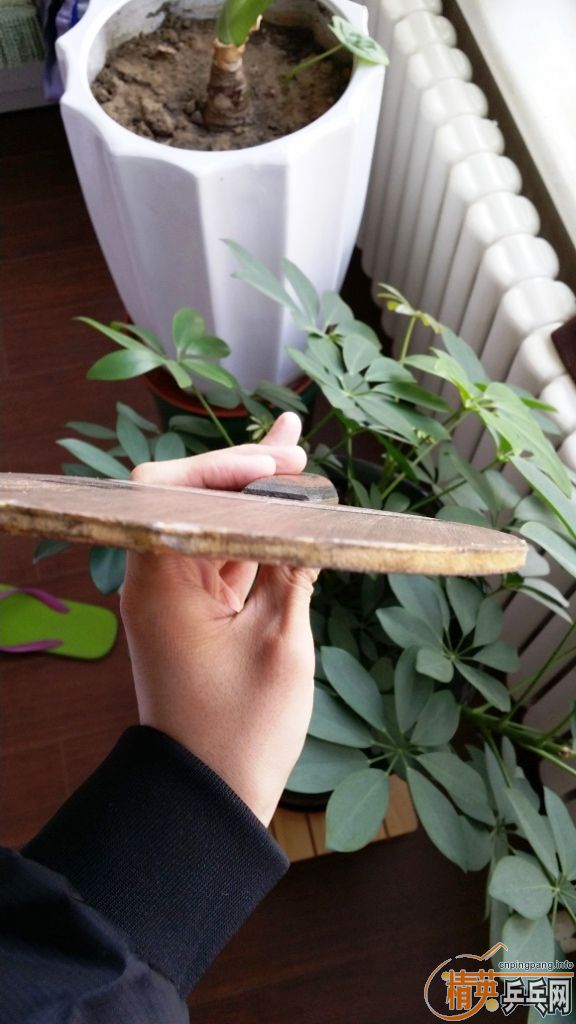 ��������ľ5����OCCR��ʽϸ��----��100��neo���������ᣬ��el��������Ż�