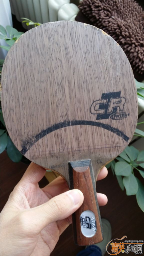 ��������ľ5����OCCR��ʽϸ��----��100��neo���������ᣬ��el��������Ż�