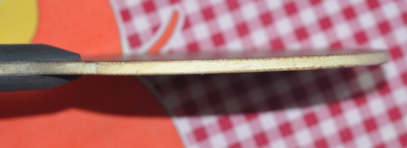 ��220���ʡ�88g�������Bloodwood5