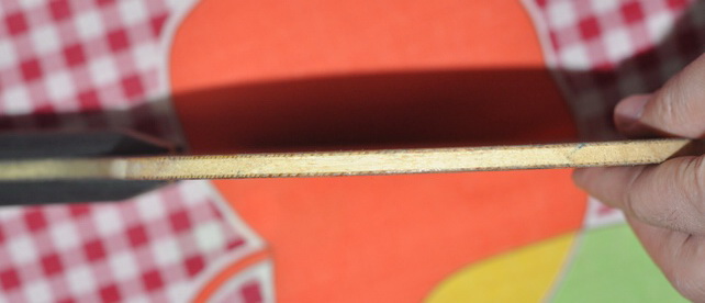 ��220���ʡ�88g�������Bloodwood5