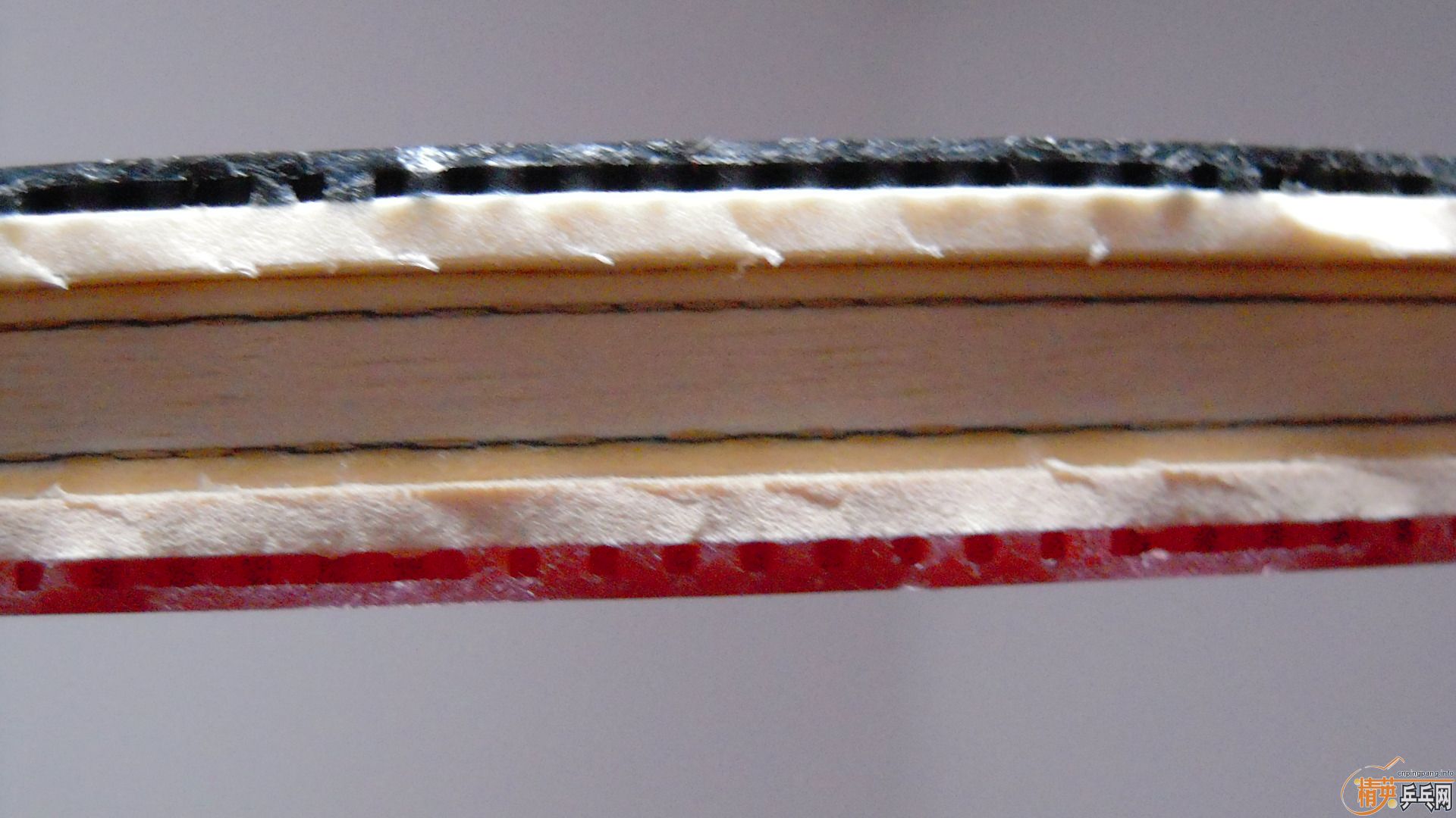 �������к���AMULTART���������ROUNDELL SOFT���ã�1298���ʣ��������飡