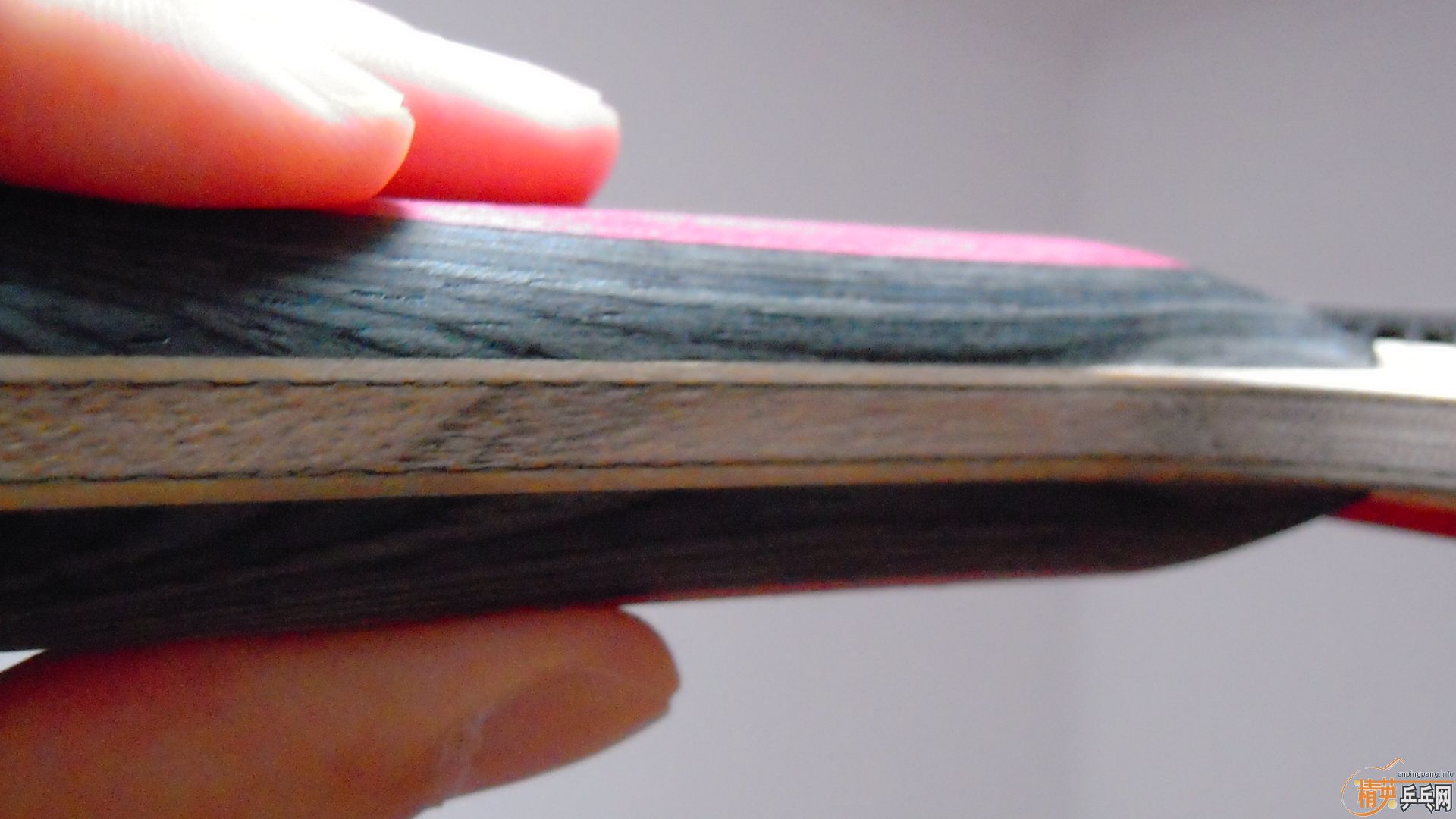 �������к���AMULTART���������ROUNDELL SOFT���ã�1298���ʣ��������飡