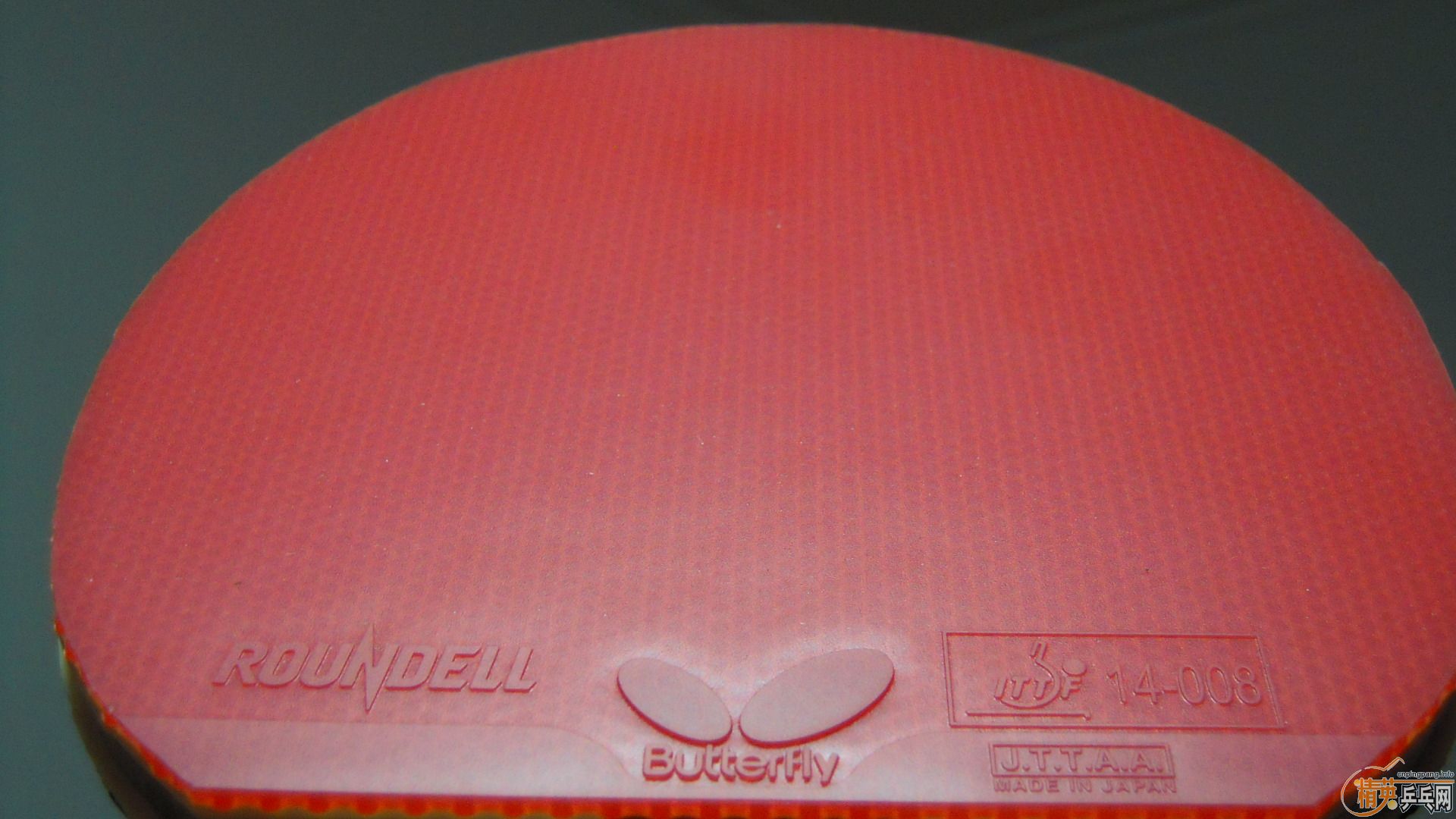 �������к���AMULTART���������ROUNDELL SOFT���ã�1298���ʣ��������飡