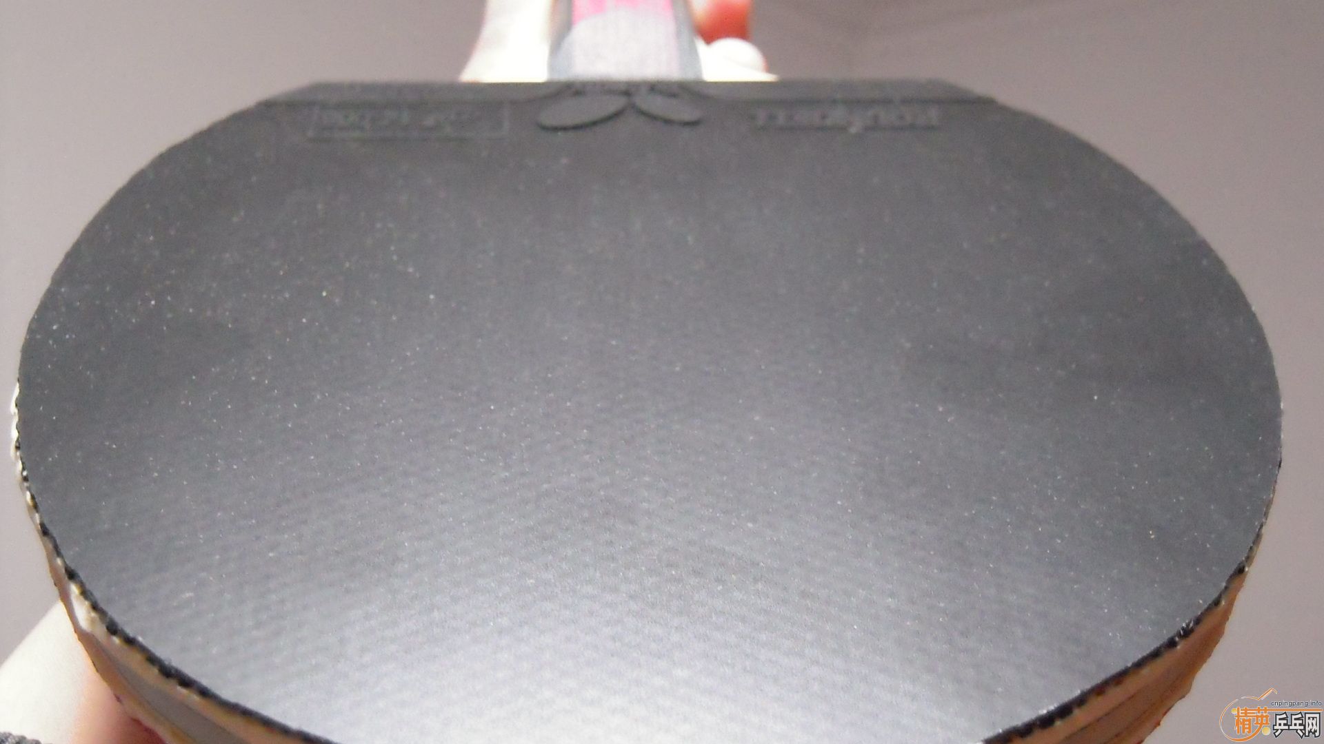 �������к���AMULTART���������ROUNDELL SOFT���ã�1298���ʣ��������飡