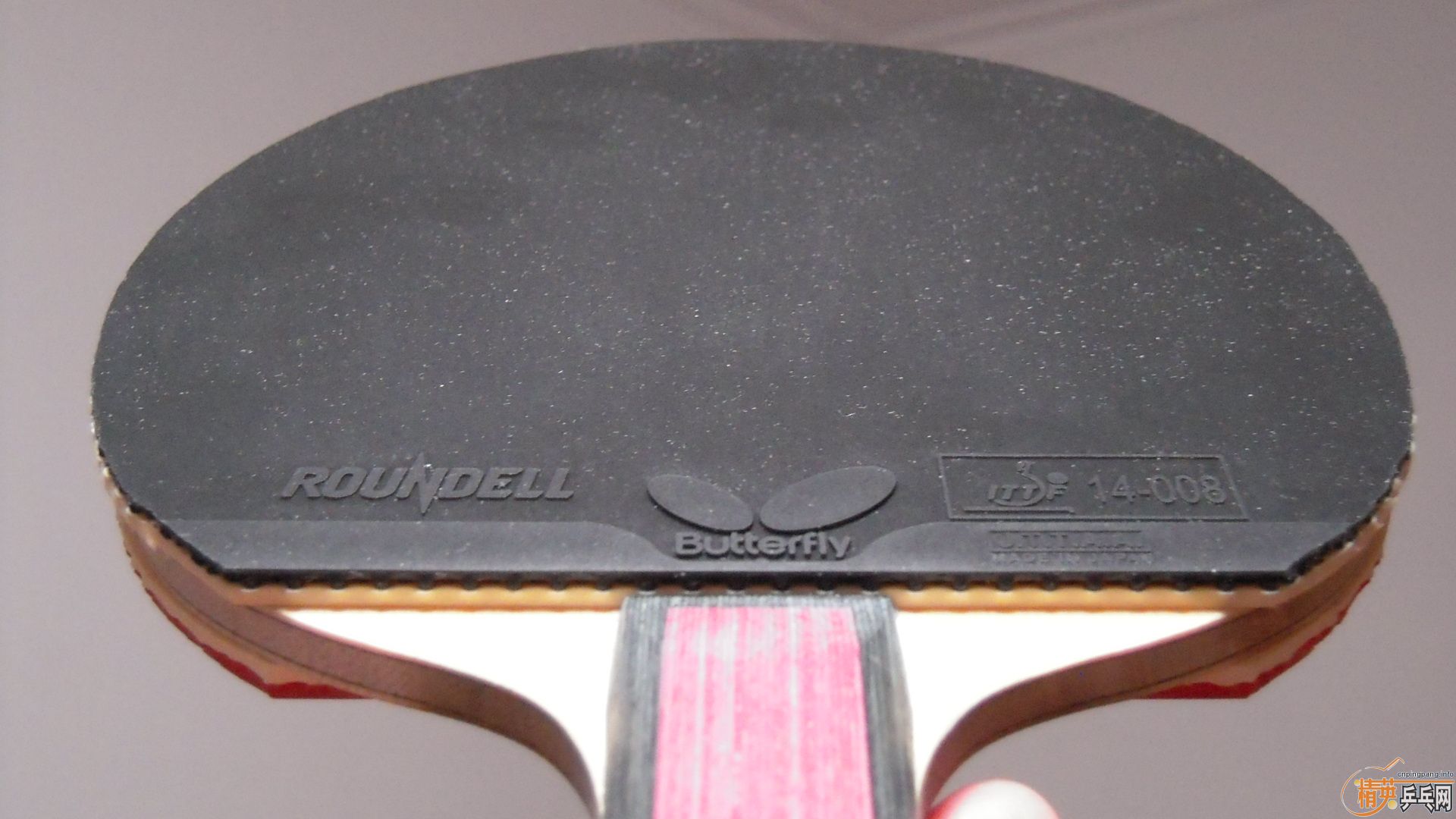 �������к���AMULTART���������ROUNDELL SOFT���ã�1298���ʣ��������飡