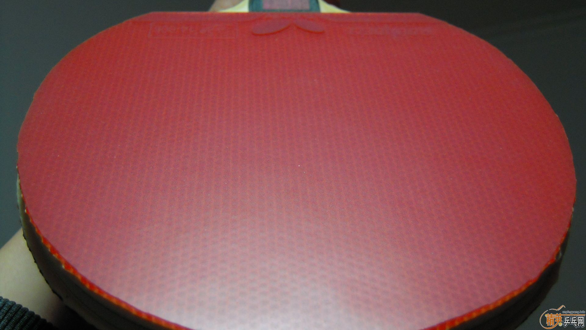 �������к���AMULTART���������ROUNDELL SOFT���ã�1298���ʣ��������飡