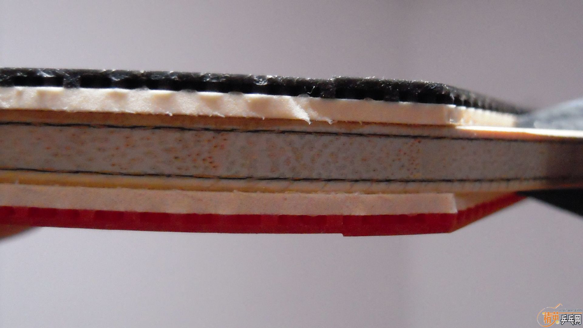 �������к���AMULTART���������ROUNDELL SOFT���ã�1298���ʣ��������飡