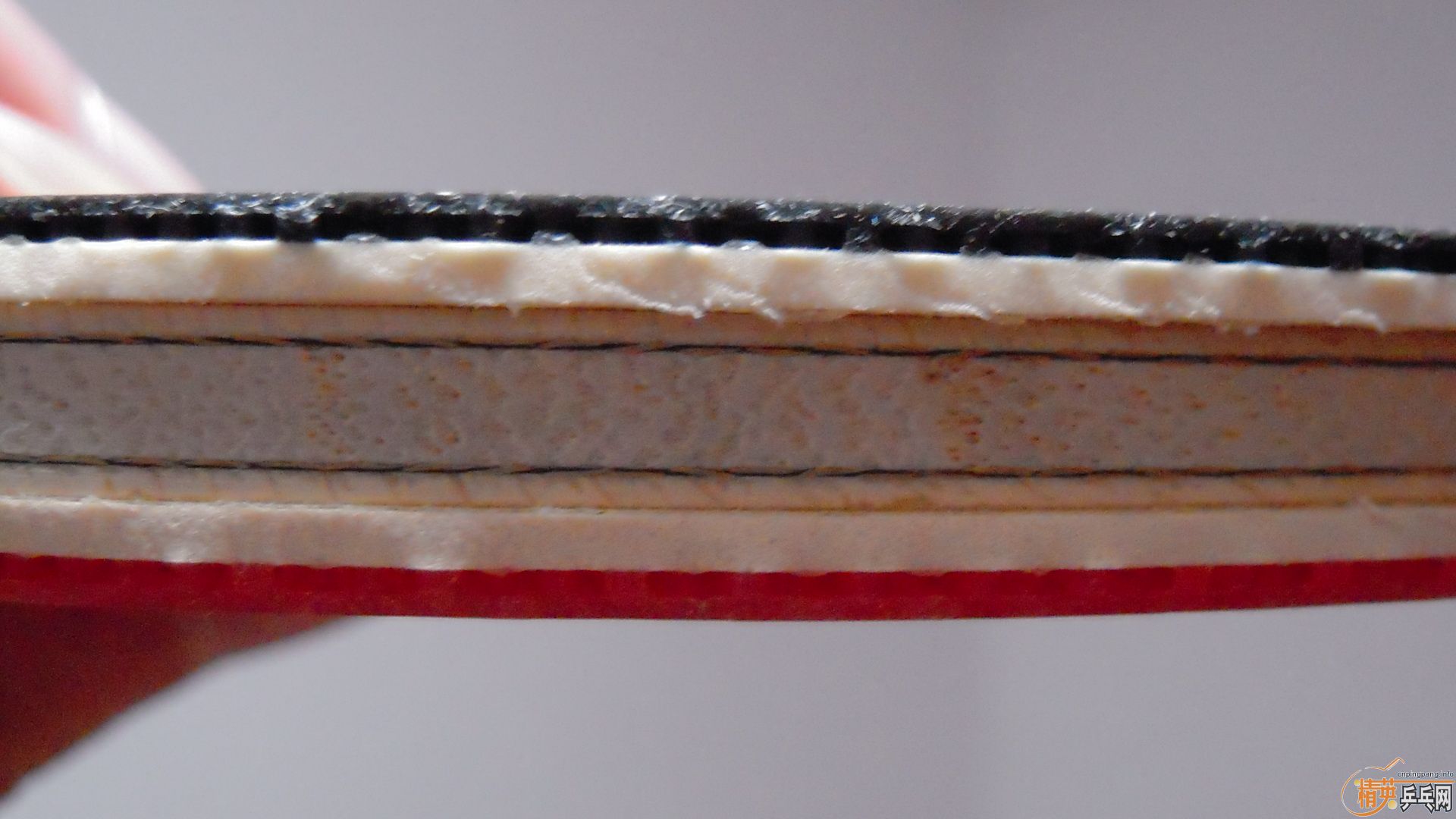 �������к���AMULTART���������ROUNDELL SOFT���ã�1298���ʣ��������飡