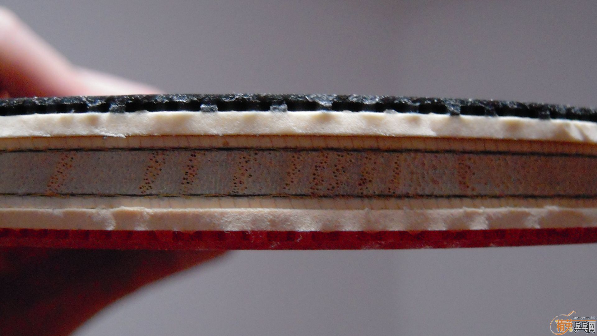 �������к���AMULTART���������ROUNDELL SOFT���ã�1298���ʣ��������飡