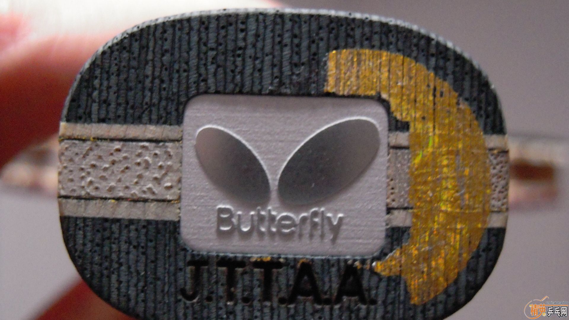 �������к���AMULTART���������ROUNDELL SOFT���ã�1298���ʣ��������飡