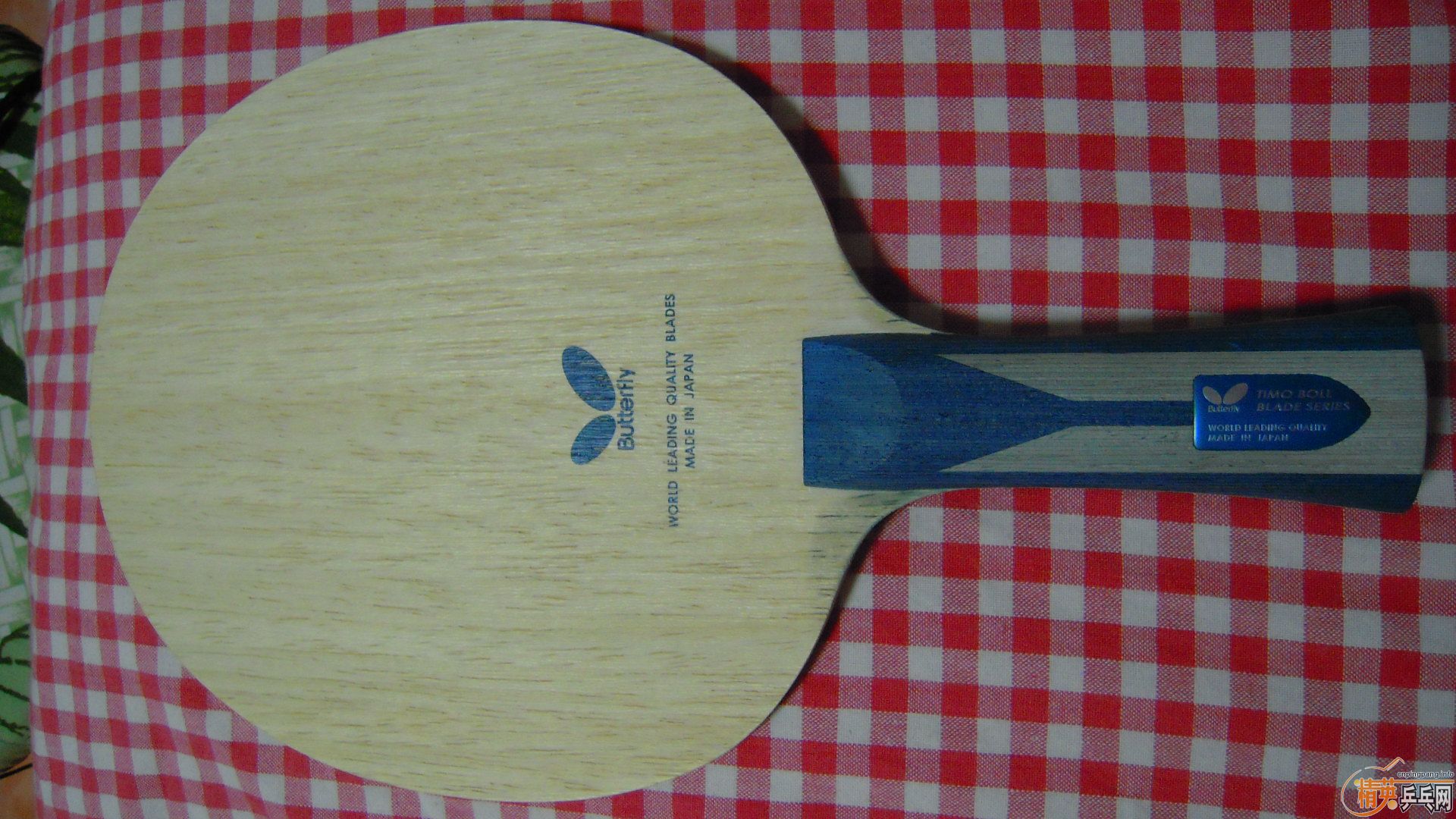 �������к���M�벨��ZLC��1018���ʣ��������飡