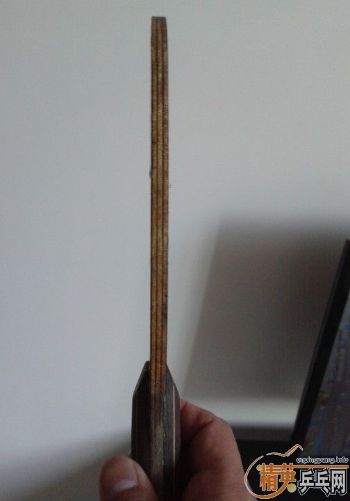 ����ʤ�л���̴�߻�õ����