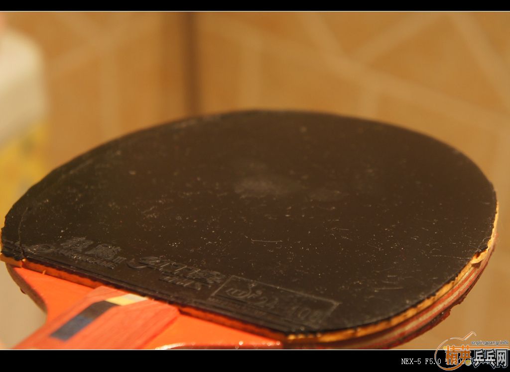 123.45Ԫ��39��С����Ⱥ��������T64