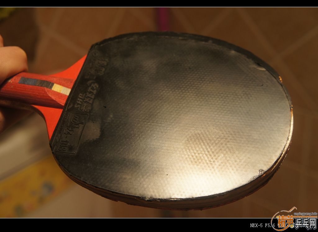 123.45Ԫ��39��С����Ⱥ��������T64