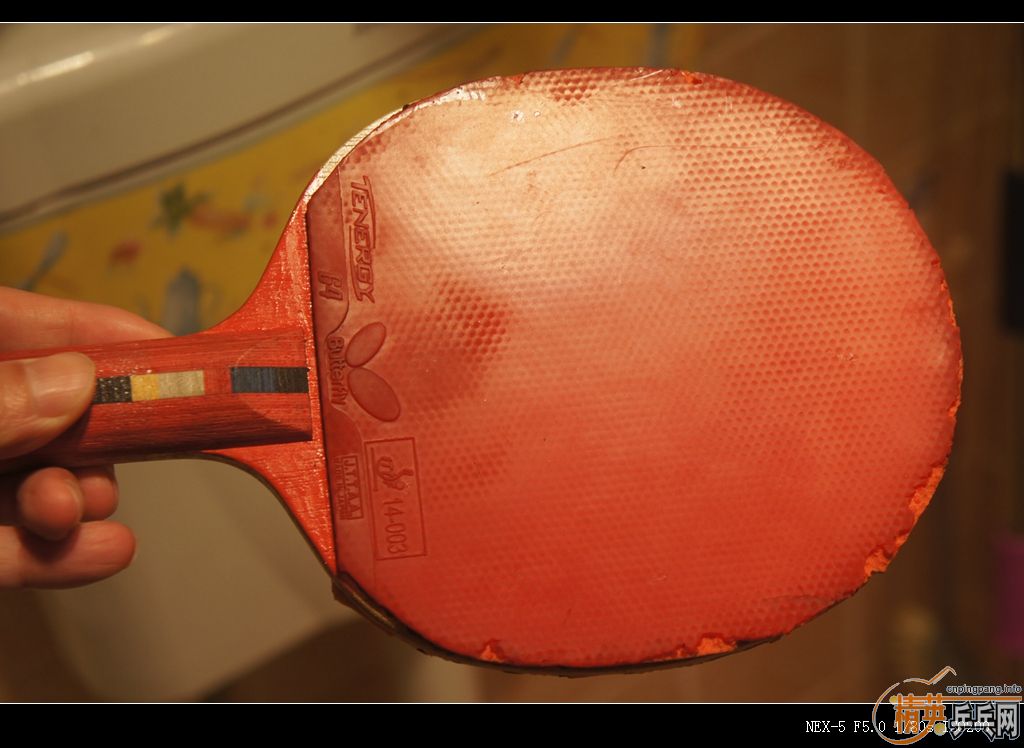 123.45Ԫ��39��С����Ⱥ��������T64