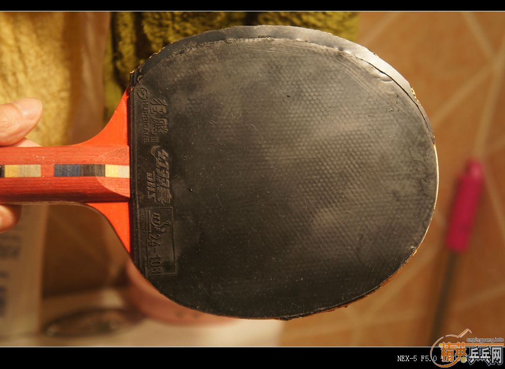 123.45Ԫ��39��С����Ⱥ��������T64