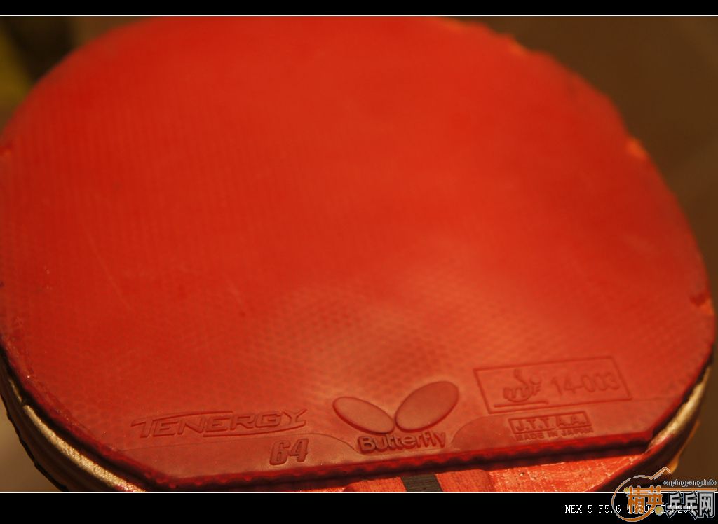 123.45Ԫ��39��С����Ⱥ��������T64