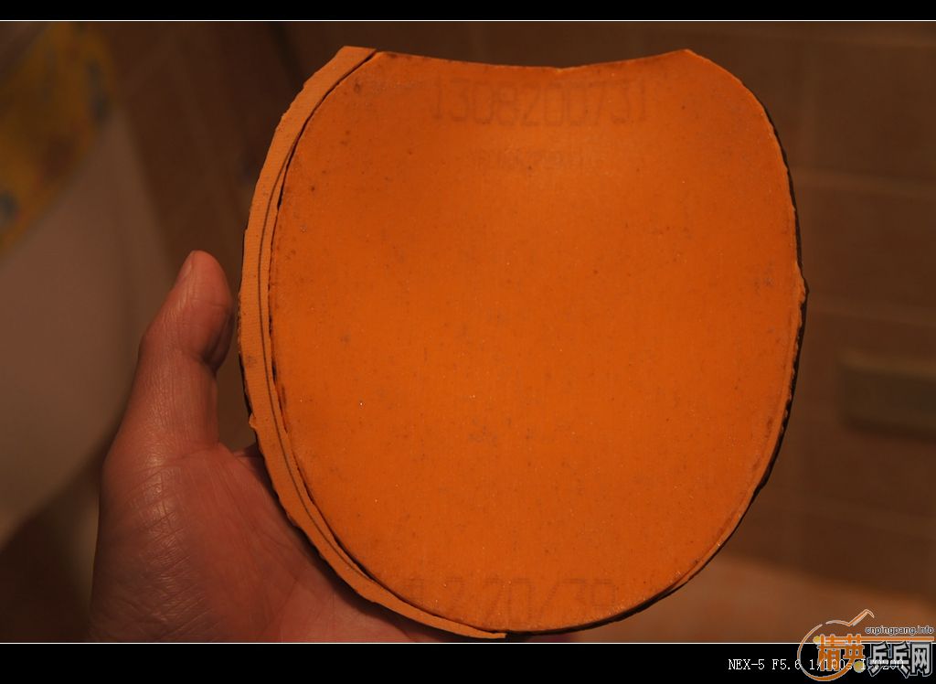 123.45Ԫ��39��С����Ⱥ��������T64