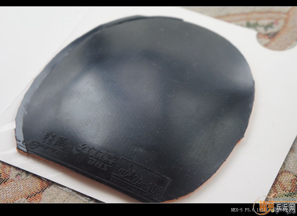 123.45Ԫ��39��С����Ⱥ��������T64