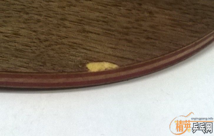 ��������501