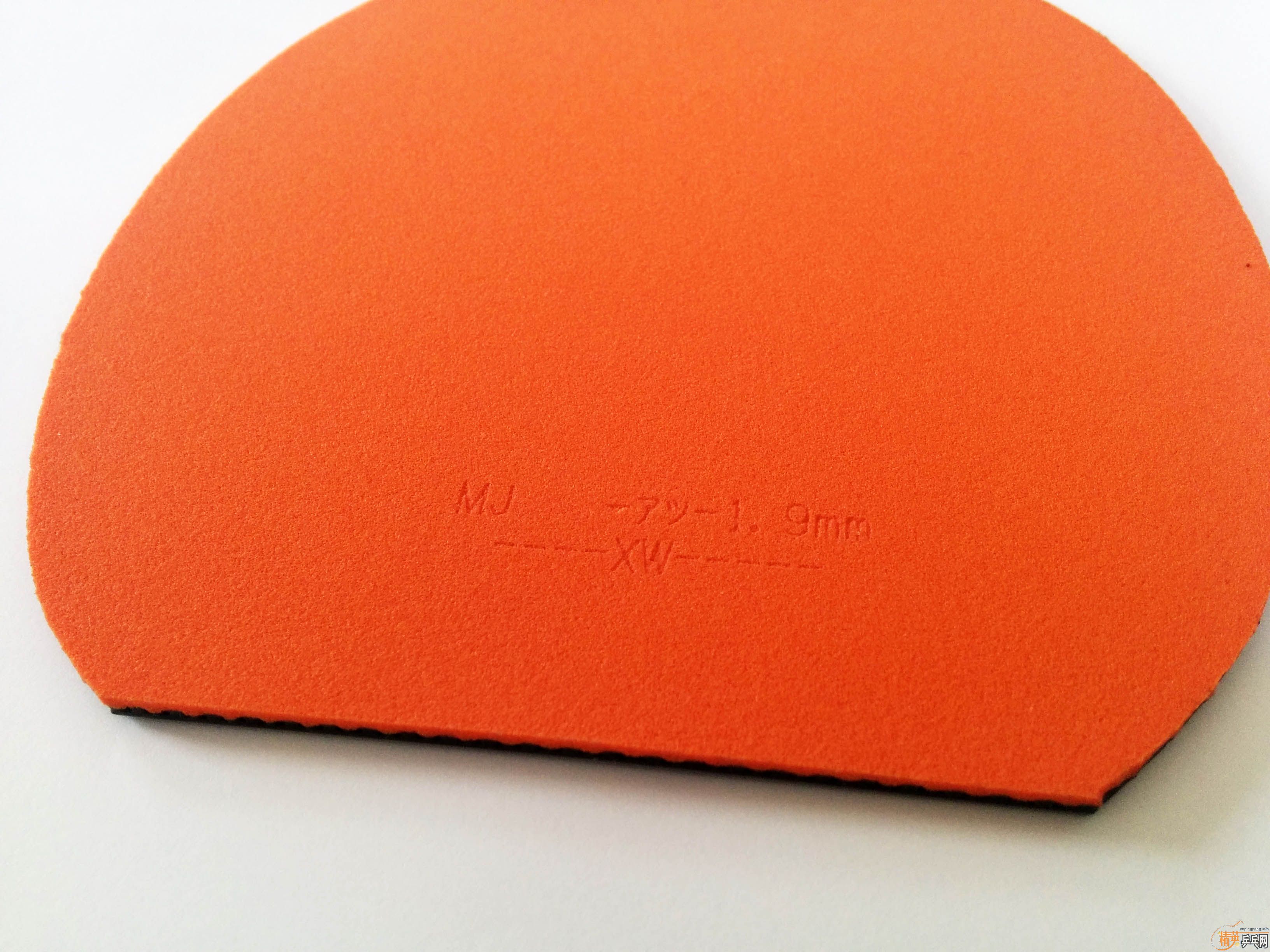 ��ɫ������1.9���T05