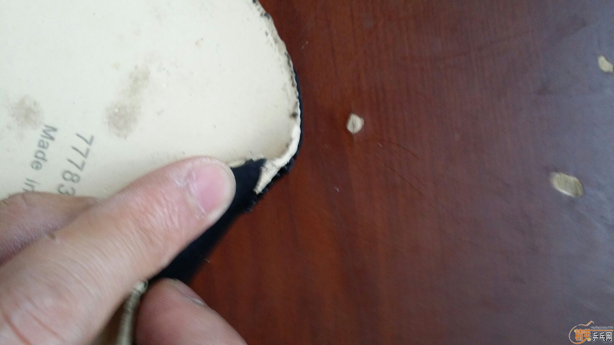 [ԭ��]�ͼ۳�����05������ˣ�������׽�������