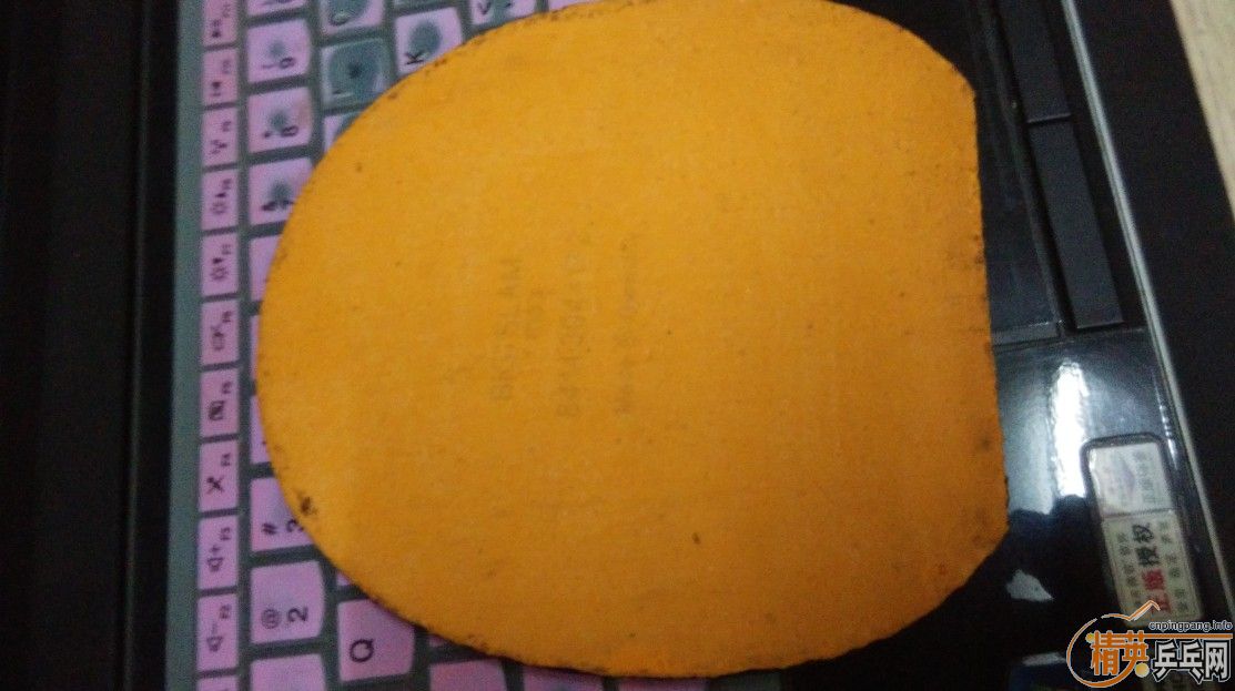 ����������ɫ�棬�������׽��