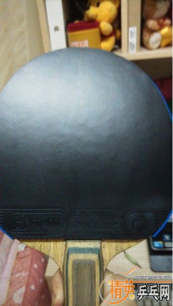 ����������ɫ�棬�������׽��