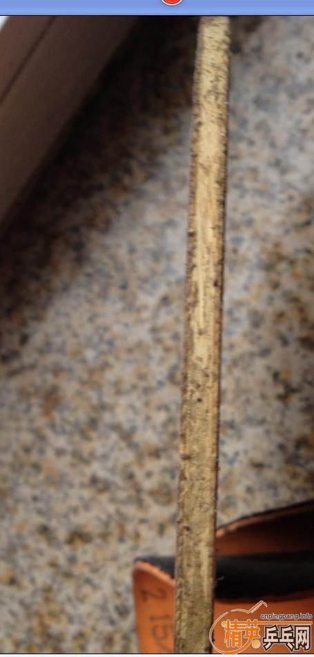 ���л�õ��5 ������3