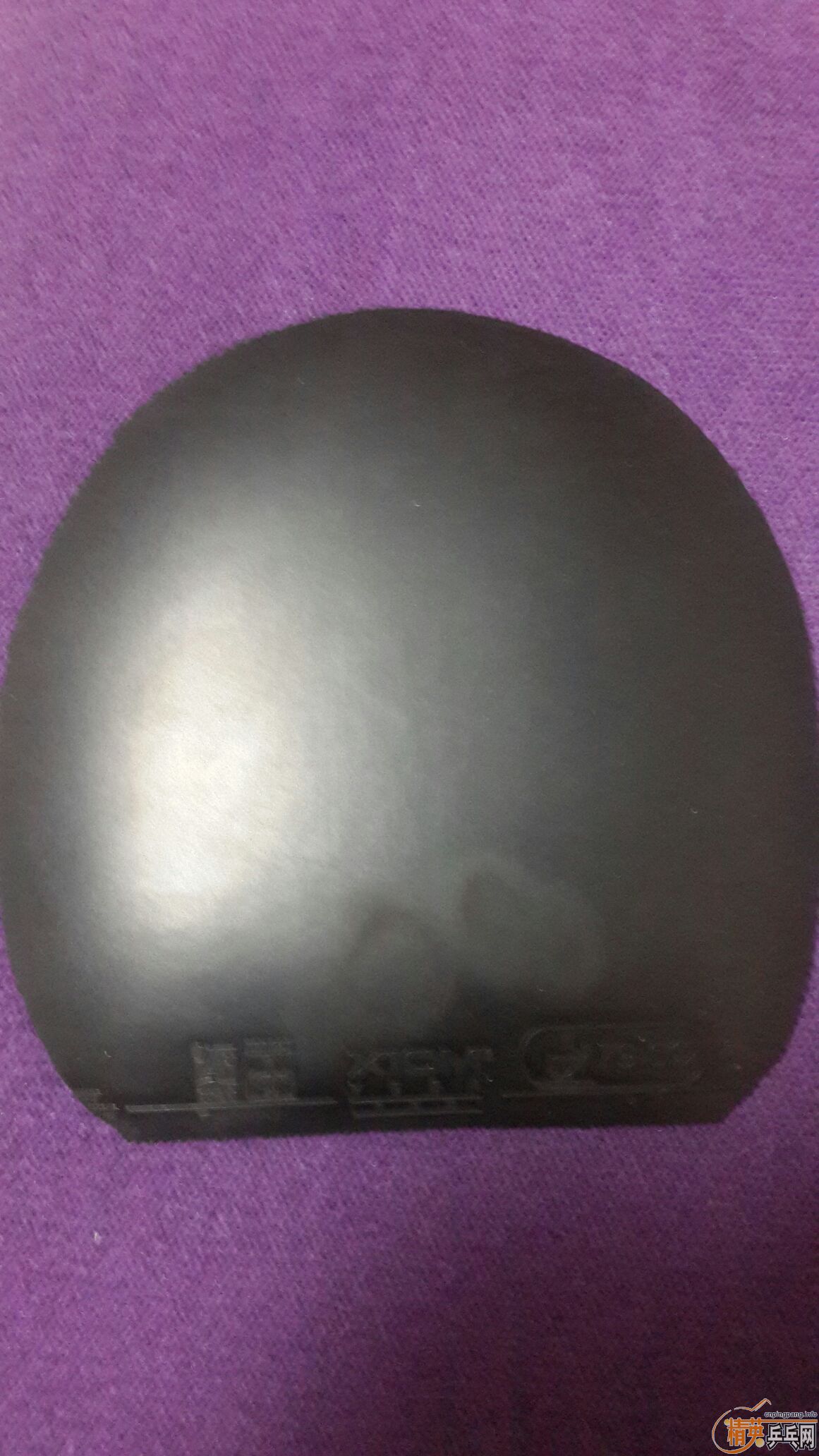 ��꿳���Ƥ��������XIOM��V VVVVVVVVVVVVVVVVVVVVVVV