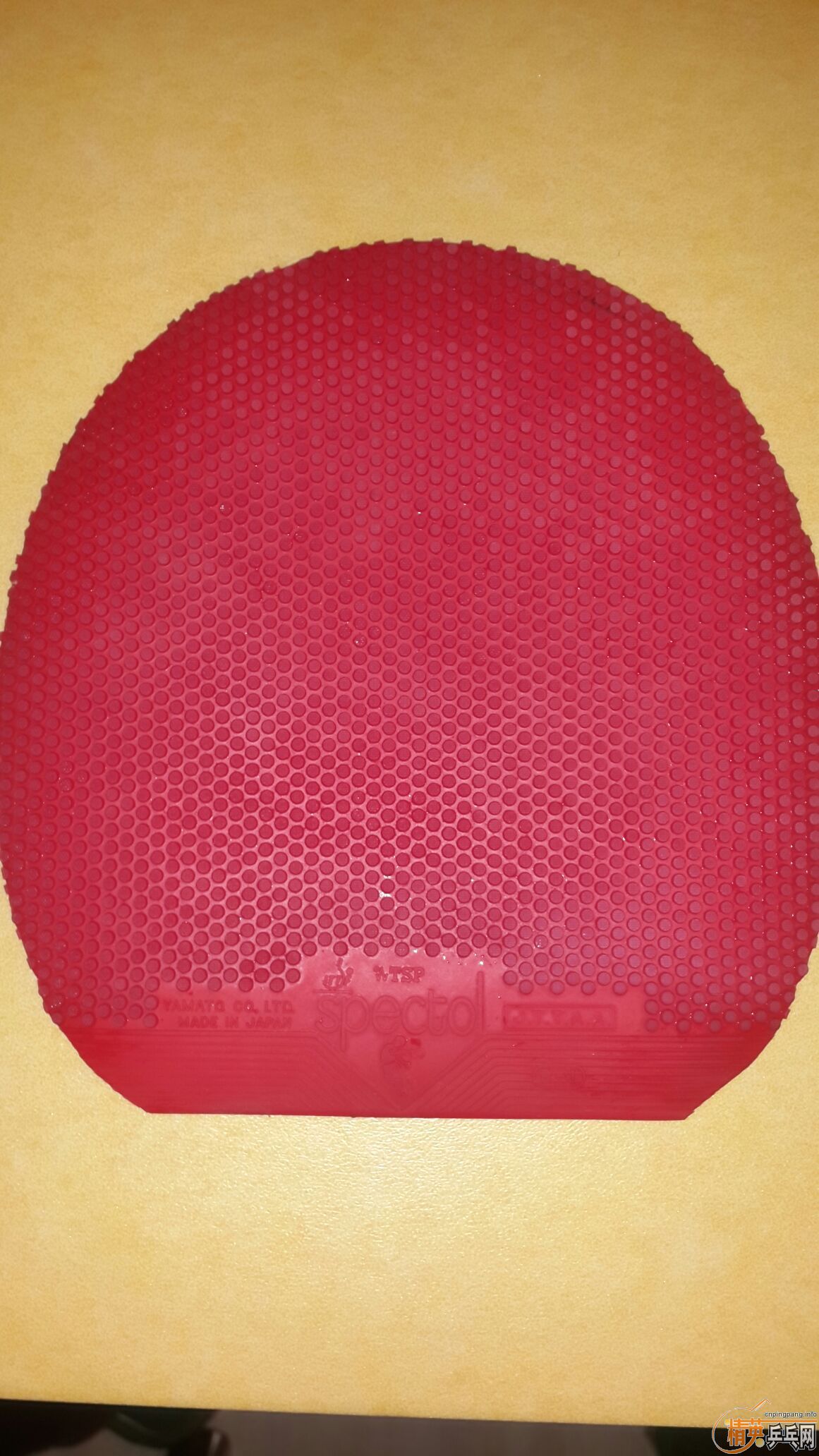 ��꿳���Ƥ������ֱ�ĵ�ѽ��XIOM��V VVVVVVVVVVVVVVVVVVVVVVV