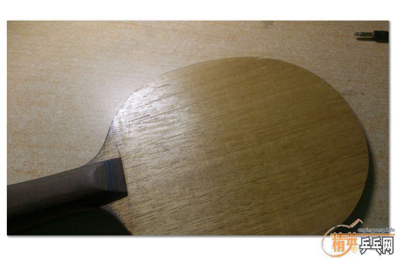 ��������������92.7�ˣ�310���ʡ���������