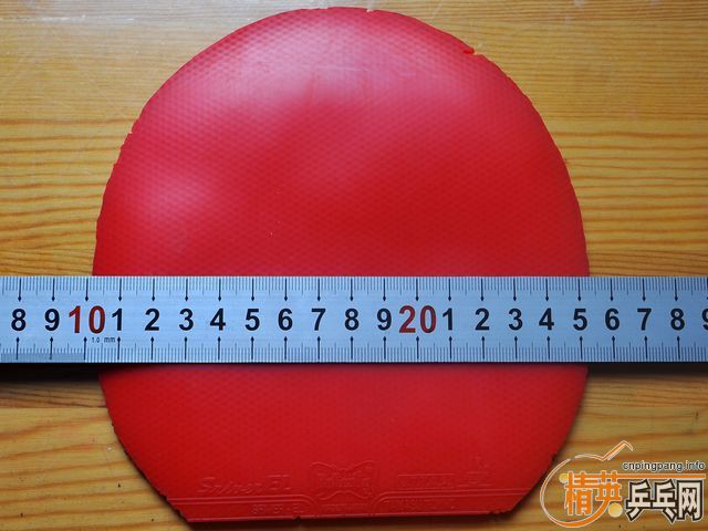 �����������׽�