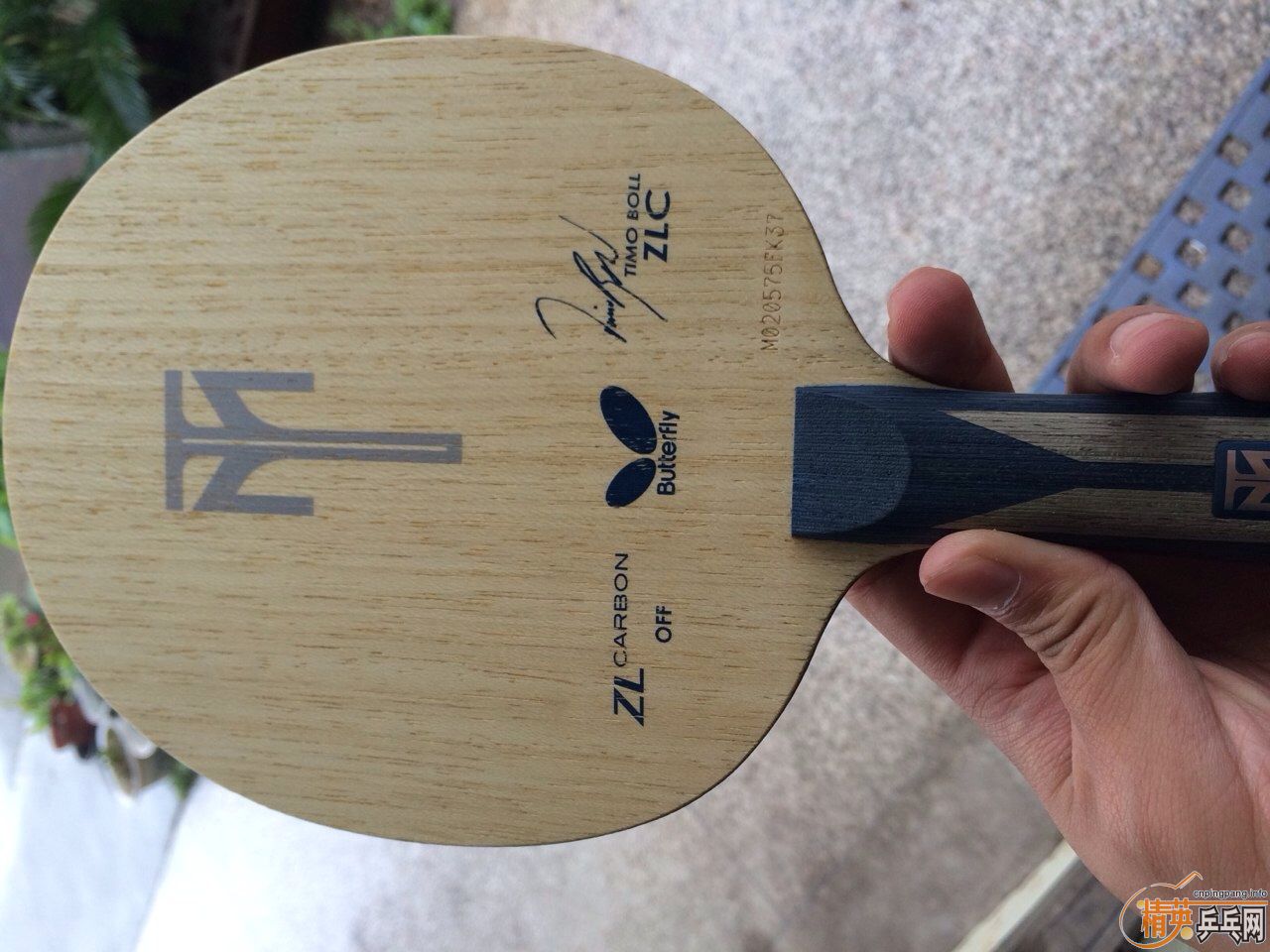 ����bzlc��Ʒ���