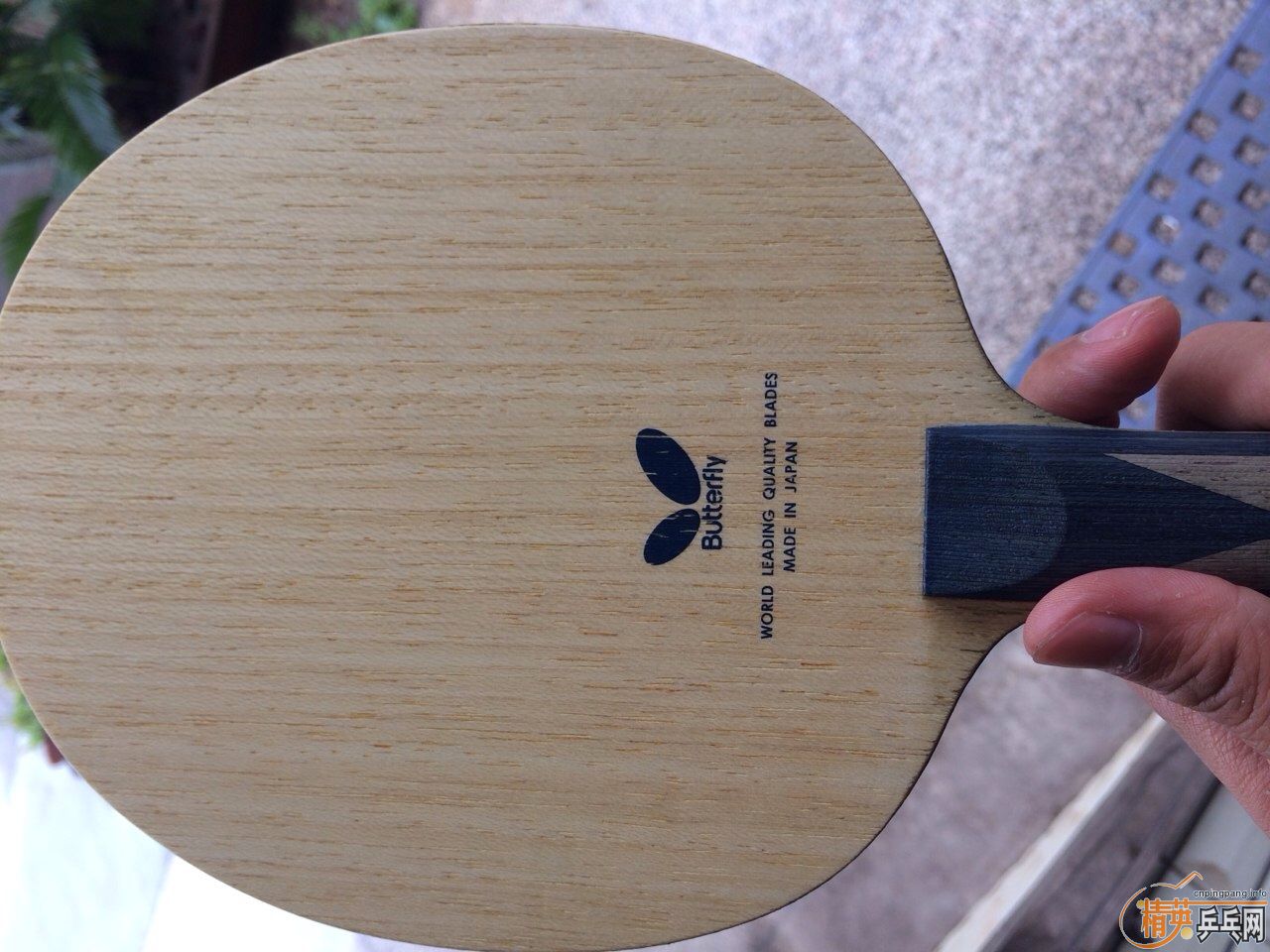 ����bzlc��Ʒ���