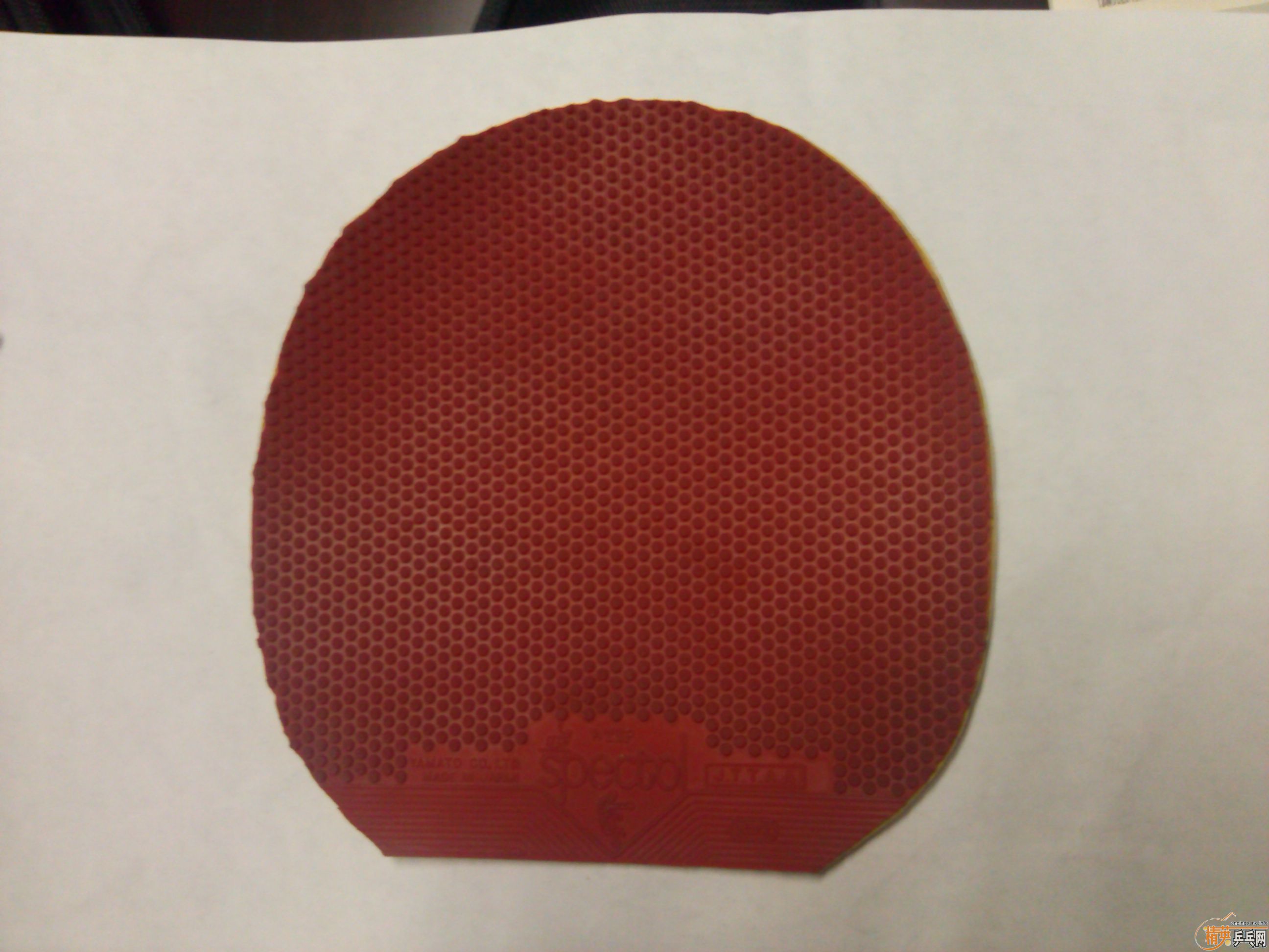 �������� TSP ��������TSP 20822���� �������200����