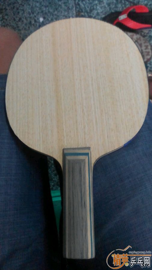 ����vis  230����  ֻ��һ�� 9.9��