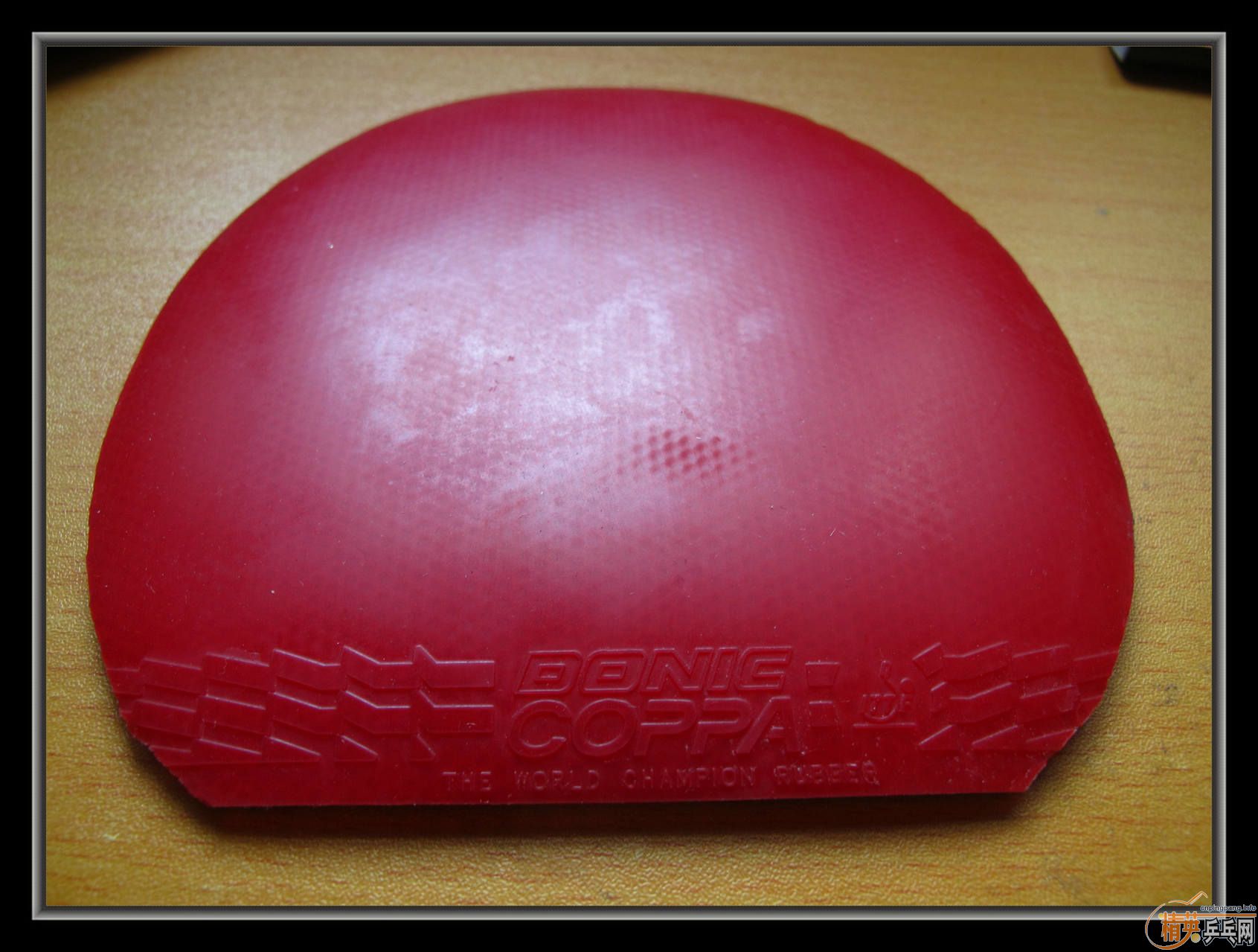 ��С����Ʒ����ʮ���齺Ƥ������ͣ������coppa֮��