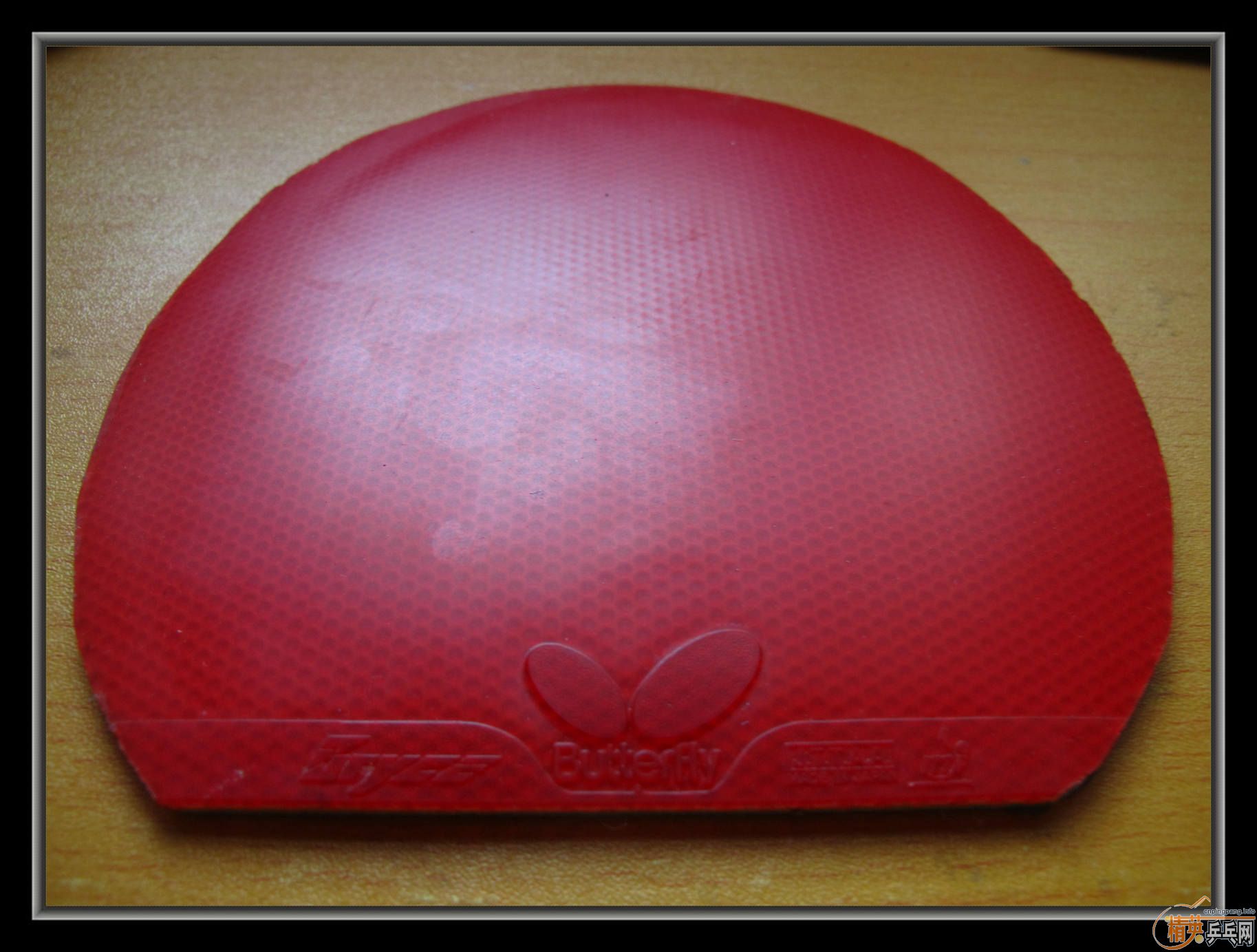 ��С����Ʒ����ʮ���齺Ƥ������ͣ������coppa֮��