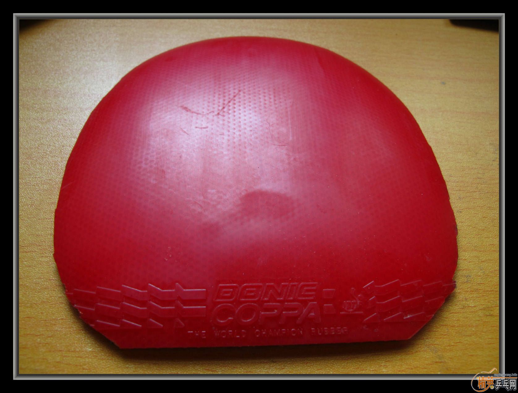 ��С����Ʒ����ʮ���齺Ƥ������ͣ������coppa֮��