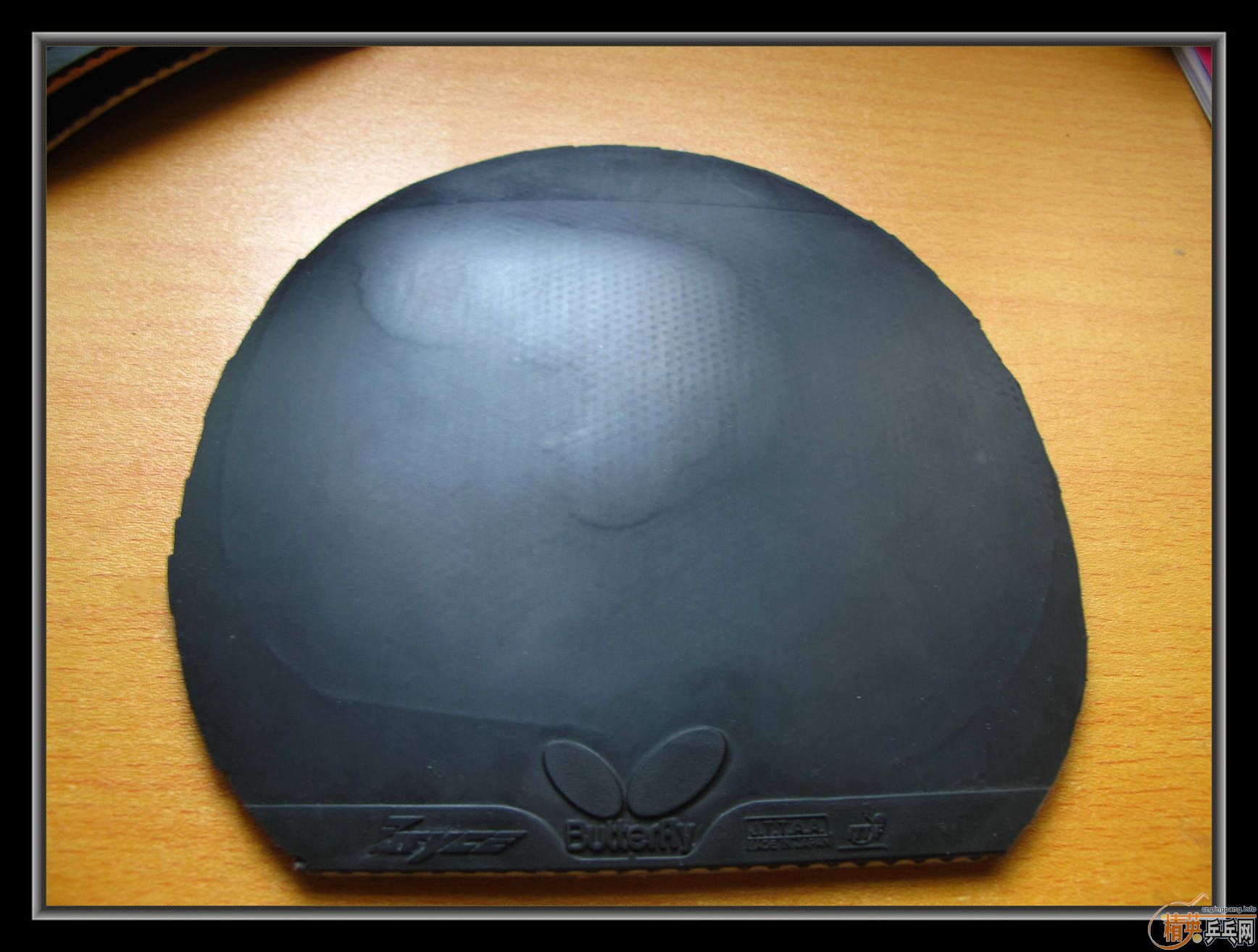 ��С����Ʒ����ʮ���齺Ƥ������ͣ������coppa֮��